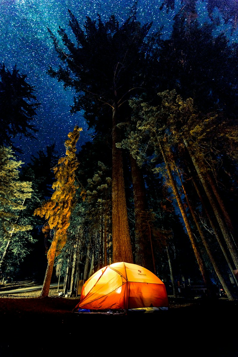 Hogyan támogathatjuk az aktív életmódot?